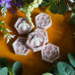 Botanical Wax Melt Pack