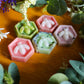 Botanical Wax Melt Pack