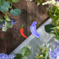 Chilli Pepper Clay Cutter