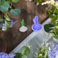 Garlic Bulb Clay Cutter