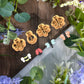 Cute Garden Bugs - Clay Cutter Set Of 4